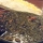 ghormeh sabzi, mixed-herb stew